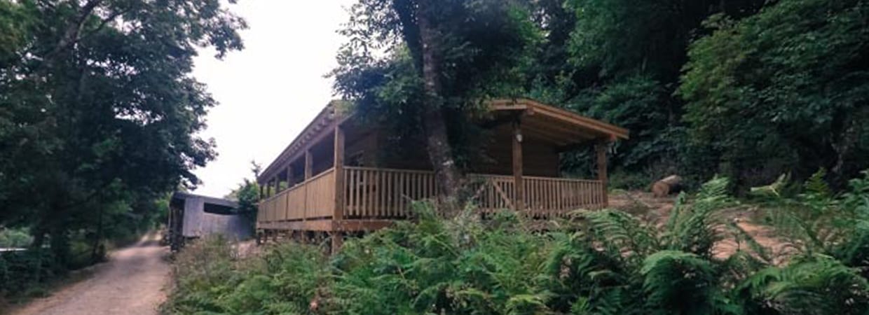 The Cabin